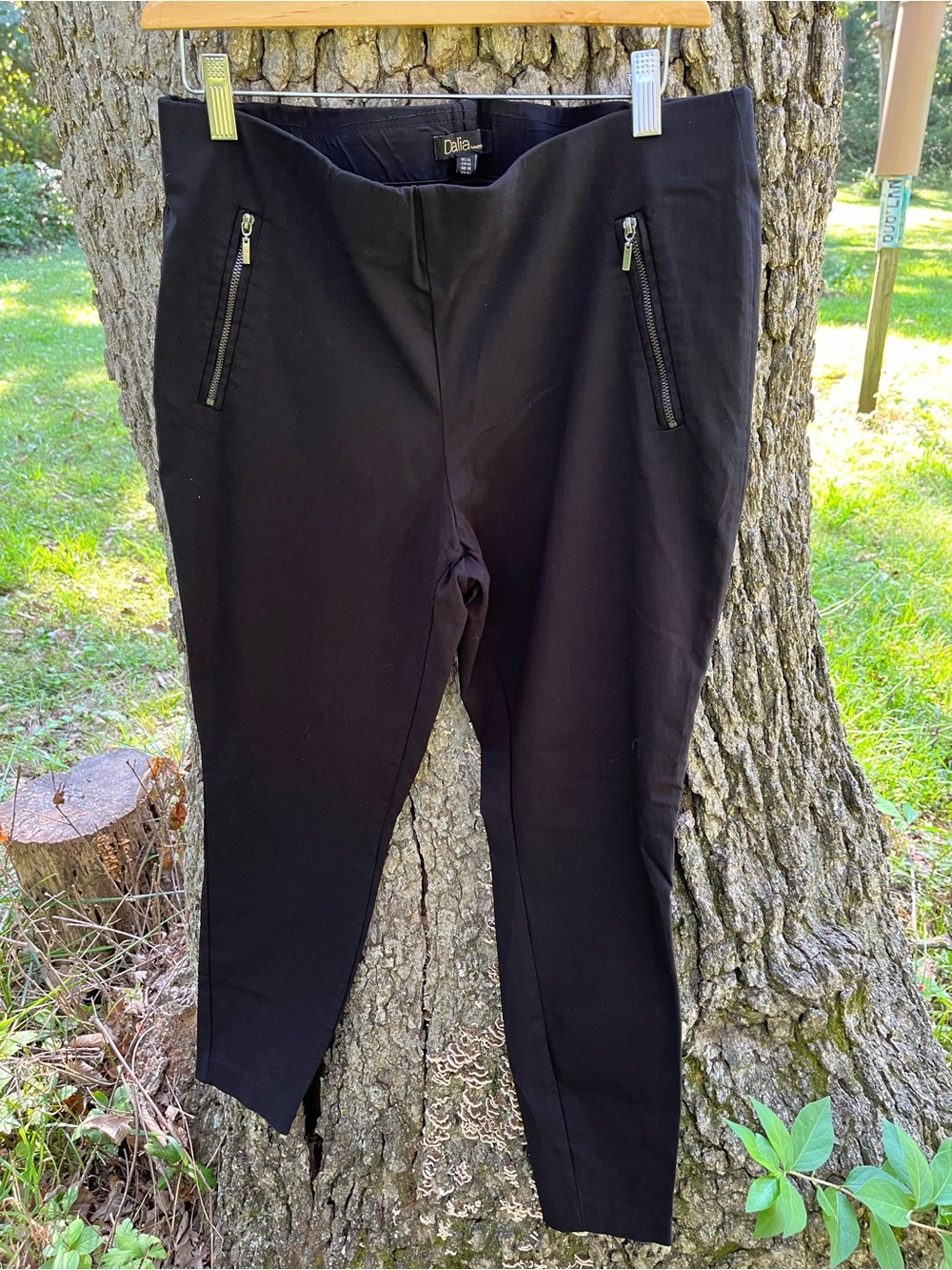 ⭐️Dalia Ankle Pant in size 12
